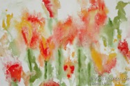 46 Poppies Oct 2004 WC on paper 15X11”