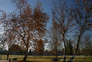 LSW photo006