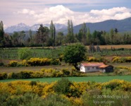 LSW photo025