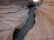 LSW photo094