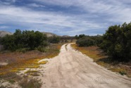 LSW photo183