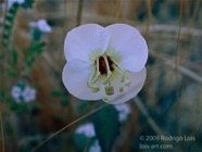 TF photo063